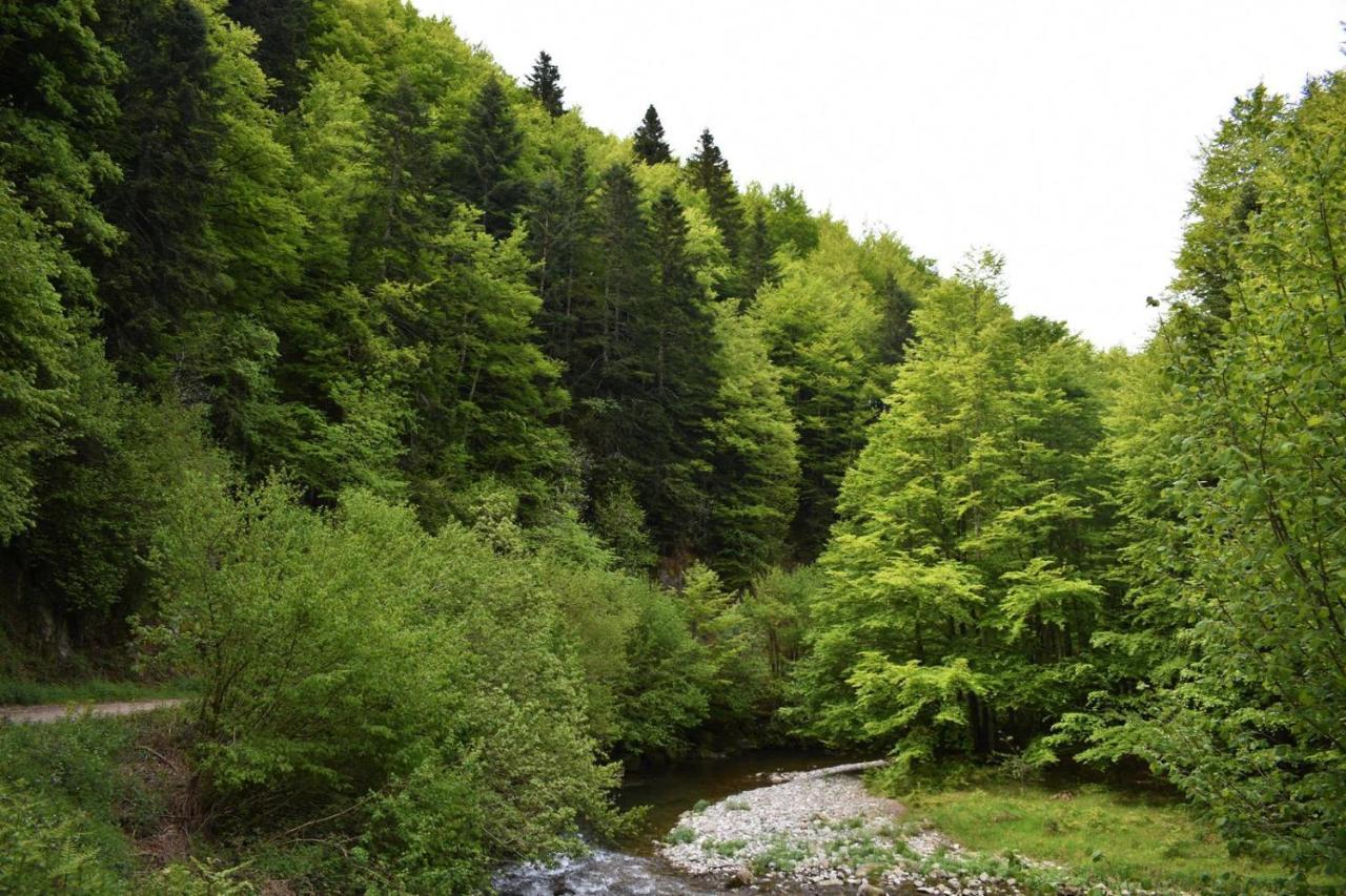 Вилла Xandua Etxea - Selva De Irati - Исальсу Экстерьер фото